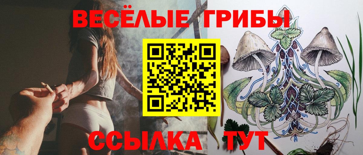 Галлюциногенные грибы прущие грибы Сафоново