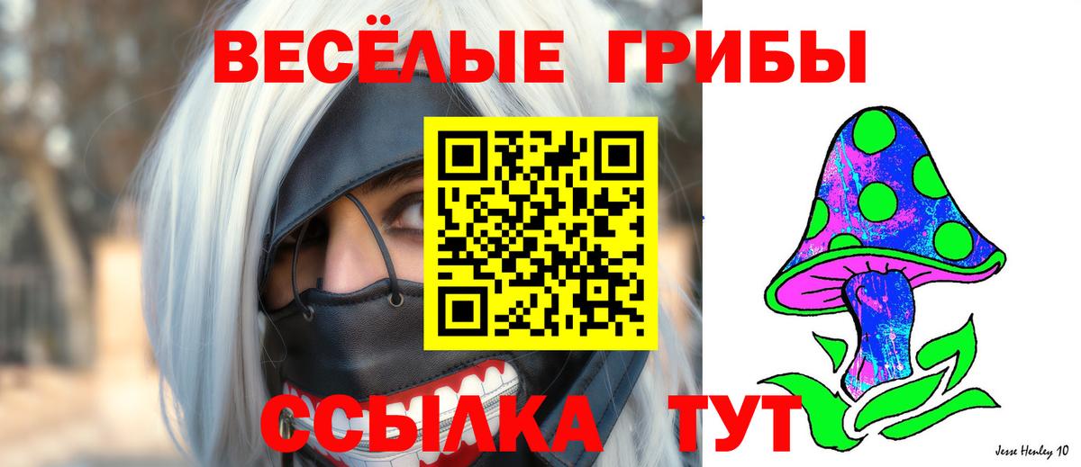 Сафоново  Галлюциногенные грибы Cubensis  Вход с VPN 